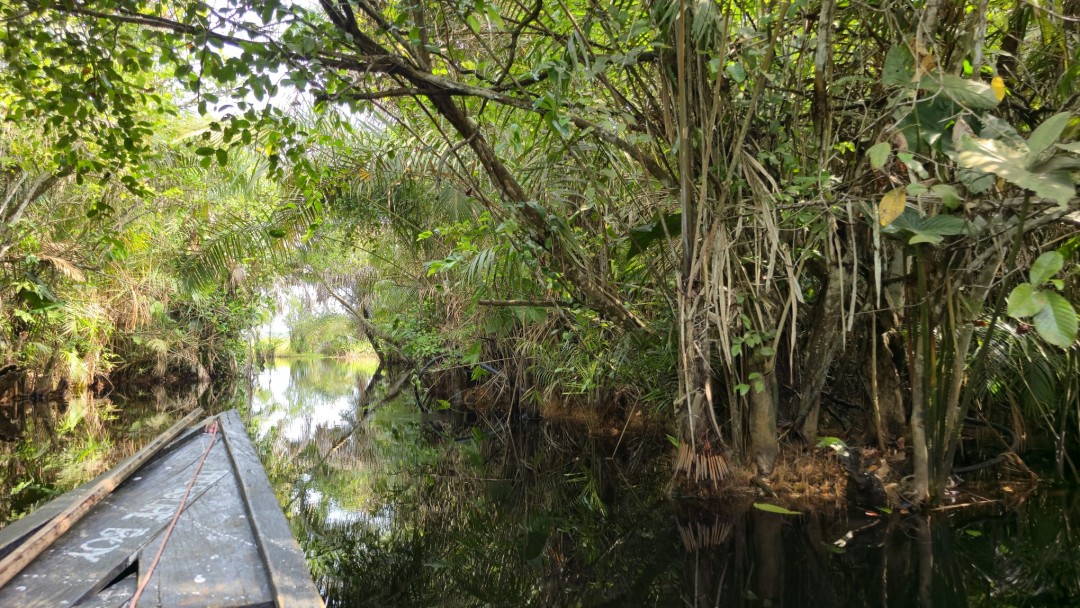 WhatsApp Image 2026-03-05 at 07.48.55