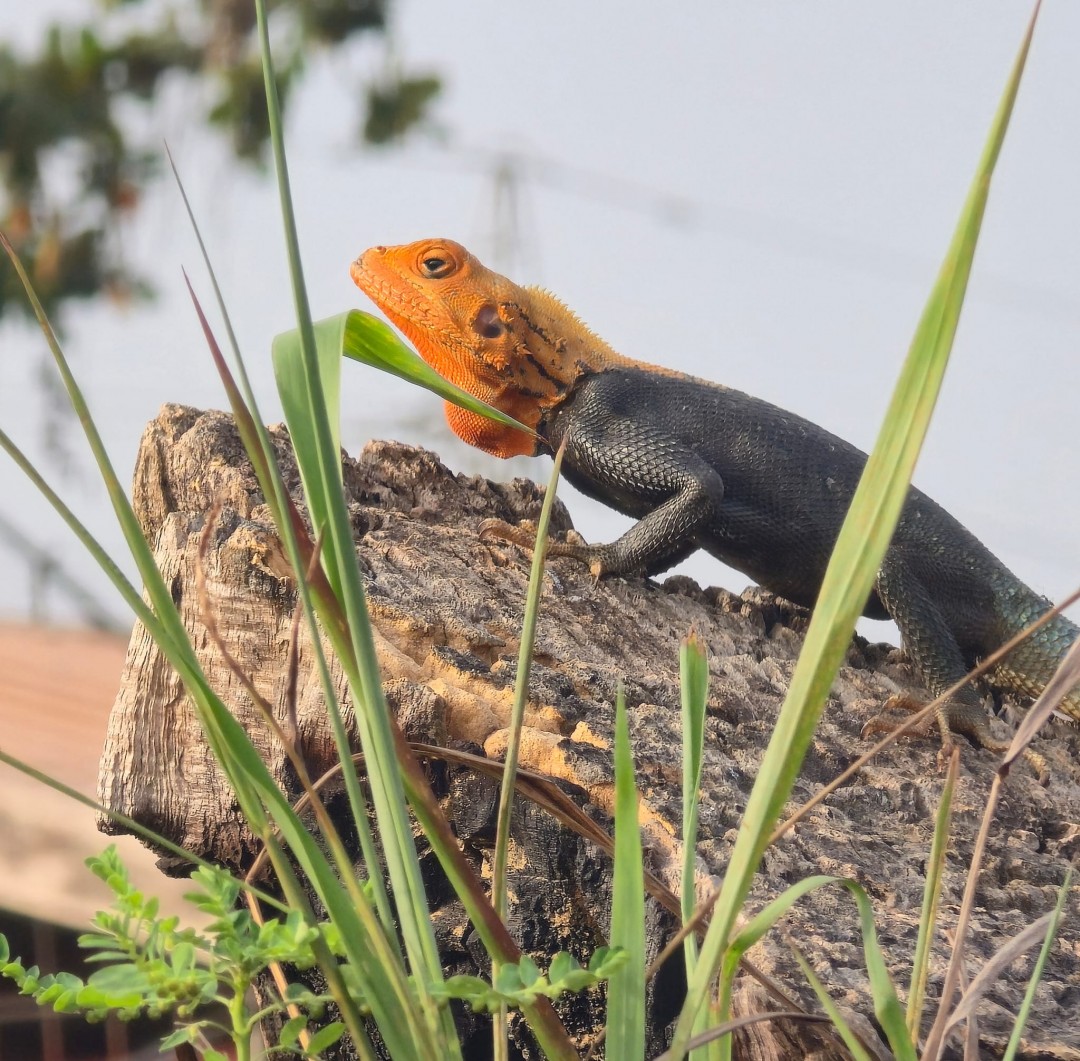 WhatsApp Image 2026-03-05 at 07.52.55